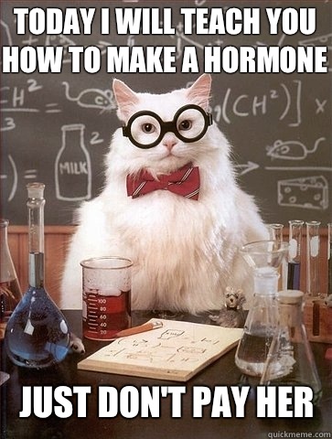 Today i will teach you how to make a hormone Just don't pay her  Chemistry Cat