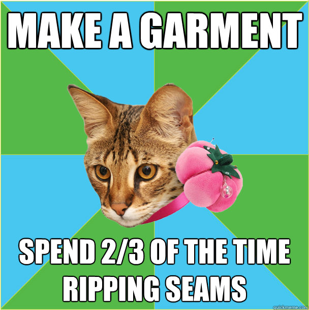 make a garment spend 2/3 of the time ripping seams - make a garment spend 2/3 of the time ripping seams  Fashion major cat