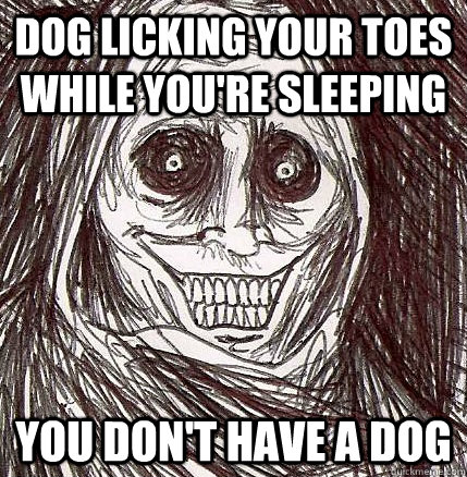 Dog licking your toes while you're sleeping you don't have a dog  Horrifying Houseguest