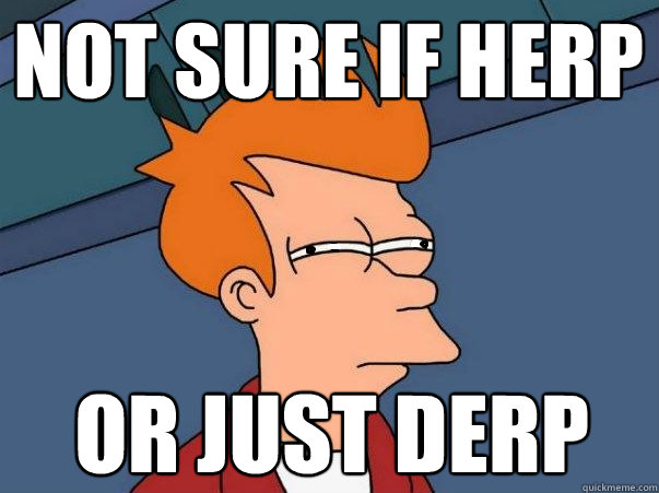 Not sure if herp Or just derp  Futurama Fry