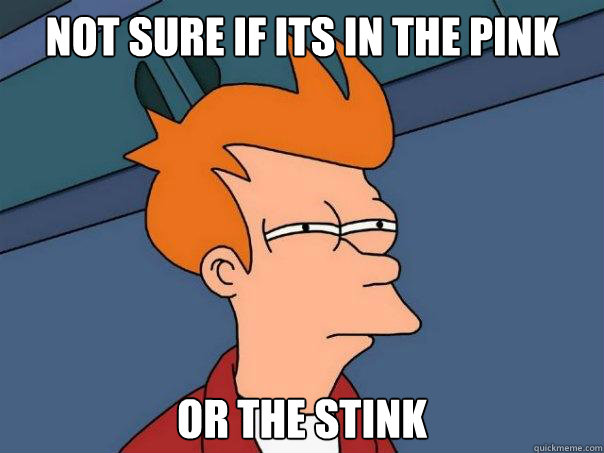 Not sure if its in the pink Or the stink  Futurama Fry