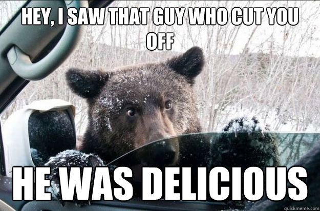 Hey, i saw that guy who cut you off He was delicious  Good Bear Greg