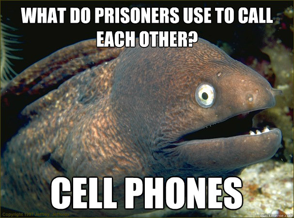 What do prisoners use to call each other? Cell phones  Bad Joke Eel