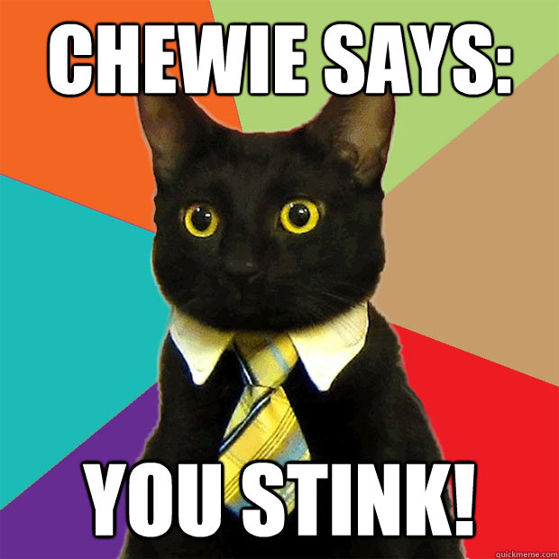 CHEWIE SAYS: YOU STINK!  Business Cat