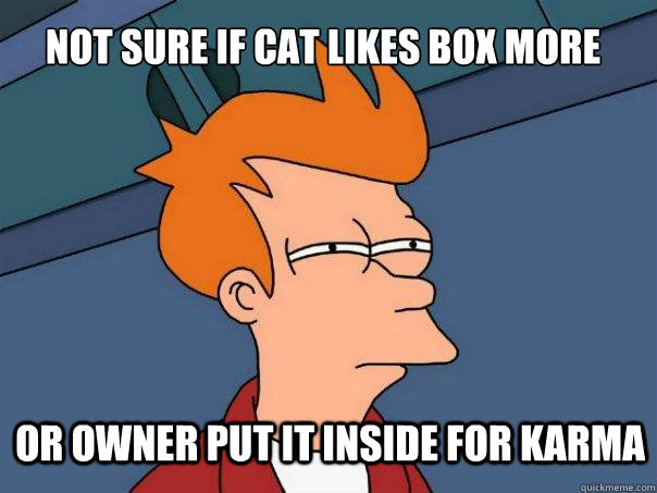 Not sure if cat likes box more or owner put it inside for karma - Not sure if cat likes box more or owner put it inside for karma  Futurama Fry