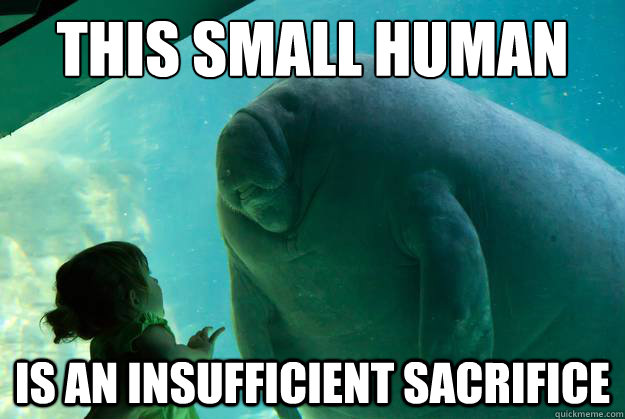 This small human is an insufficient sacrifice - This small human is an insufficient sacrifice  Overlord Manatee