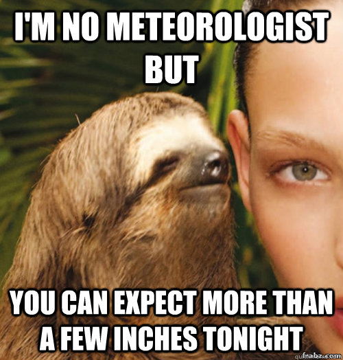 I'm no meteorologist but You can expect more than a few inches tonight - I'm no meteorologist but You can expect more than a few inches tonight  rape sloth