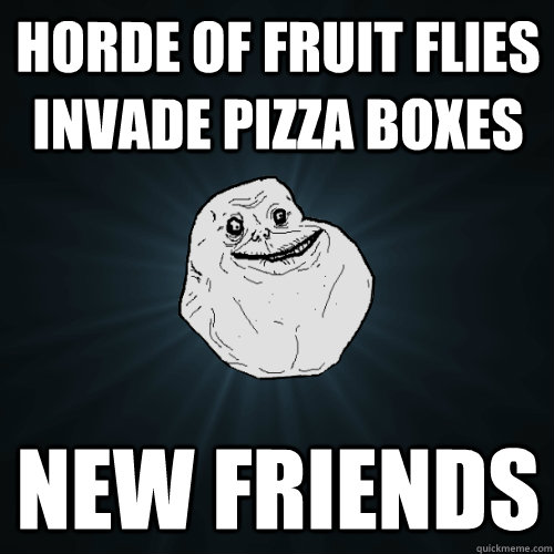 horde of fruit flies invade pizza boxes new friends  Forever Alone