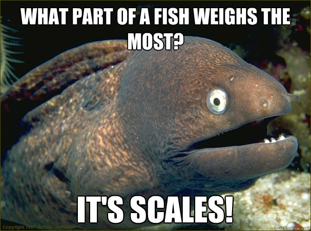 What part of a fish weighs the most? It's scales! - What part of a fish weighs the most? It's scales!  Bad Joke Eel