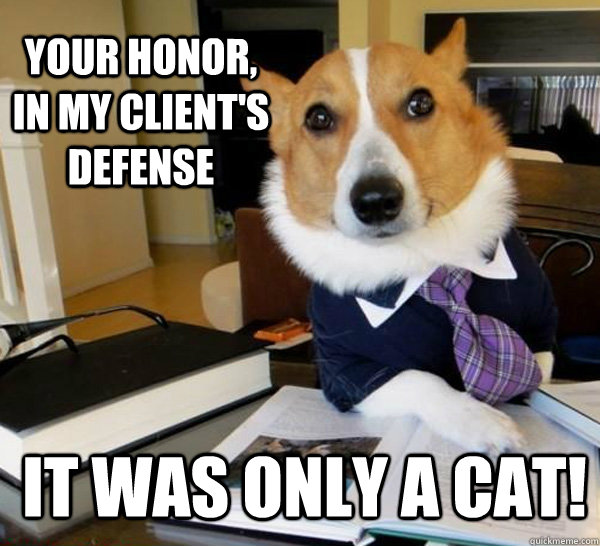 Your honor, In my client's defense It was only a cat!  Lawyer Dog