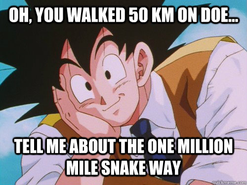 Oh, you walked 50 km on DOE... Tell me about the one million mile snake way  Condescending Goku