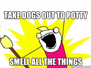 Take dogs out to potty smell all the things  All The Things