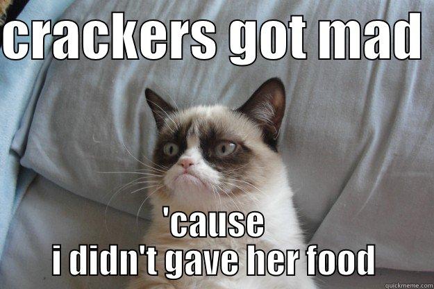 CRACKERS GOT MAD  'CAUSE I DIDN'T GAVE HER FOOD Grumpy Cat