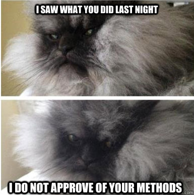 I saw what you did last night I do not approve of your methods  Colonel Meow