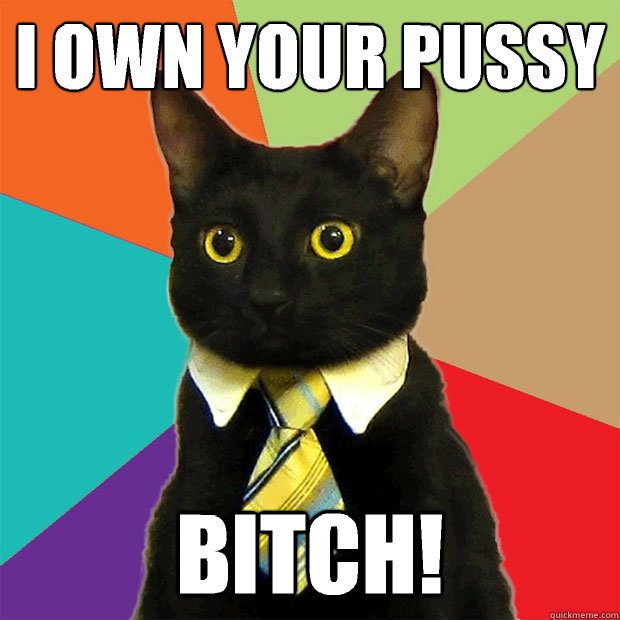 I OWN YOUR PUSSY BITCH!  Business Cat