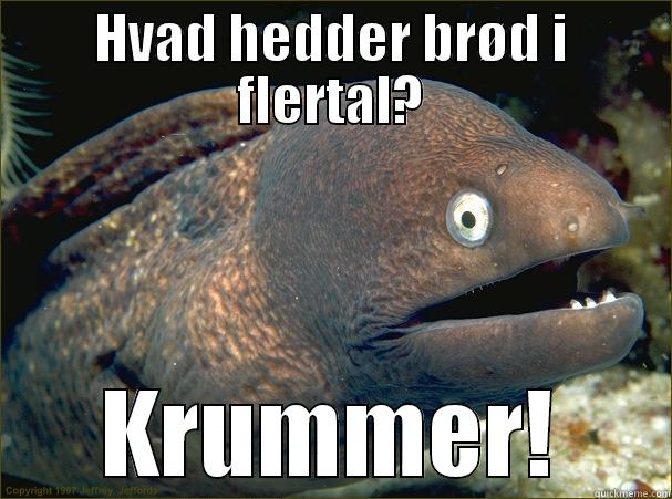 HVAD HEDDER BRØD I FLERTAL? KRUMMER! Bad Joke Eel