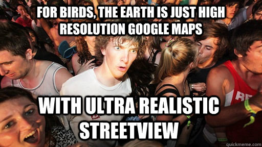 For birds, the earth is just high resolution google maps With ultra realistic streetview  Sudden Clarity Clarence