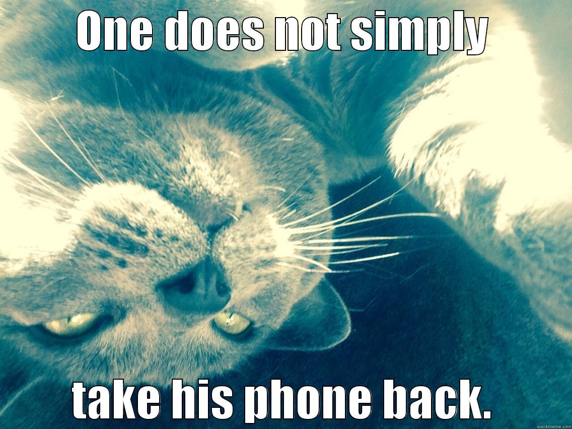 Selfie cat - ONE DOES NOT SIMPLY TAKE HIS PHONE BACK. Misc