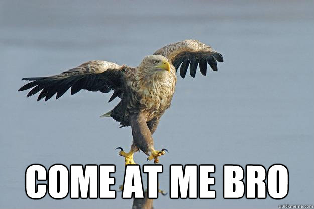  Come At Me Bro -  Come At Me Bro  Eagle Come at me