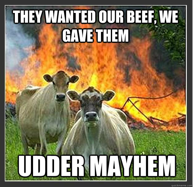 They wanted our beef, we gave them Udder Mayhem  Evil cows