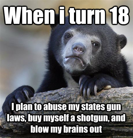 When i turn 18 I plan to abuse my states gun laws, buy myself a shotgun, and blow my brains out - When i turn 18 I plan to abuse my states gun laws, buy myself a shotgun, and blow my brains out  Confession Bear