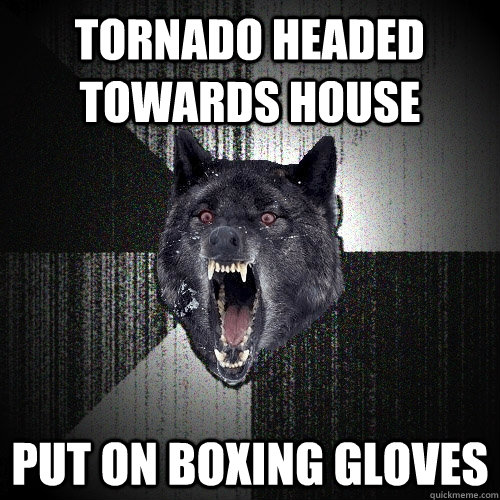 Tornado headed towards house Put on boxing gloves  Insanity Wolf