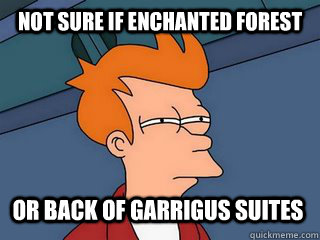 Not Sure If Enchanted forest Or back of garrigus Suites  Notsureif