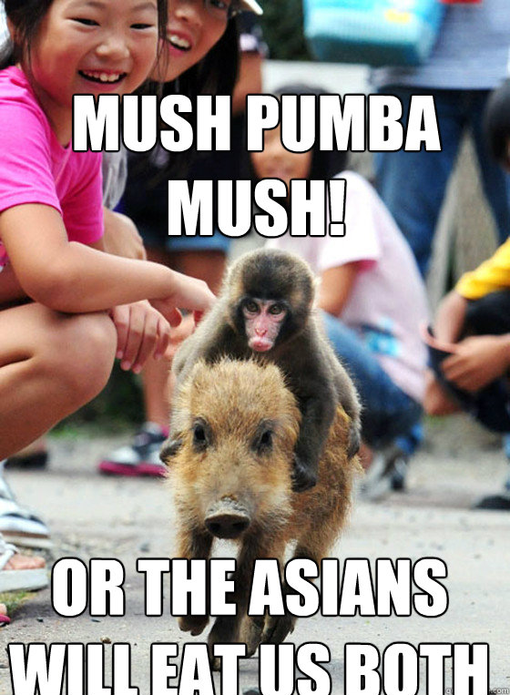 mUSH PUMBA MUSH! Or the asians will eat us both  - mUSH PUMBA MUSH! Or the asians will eat us both   MUSH PUMBA MUSH!