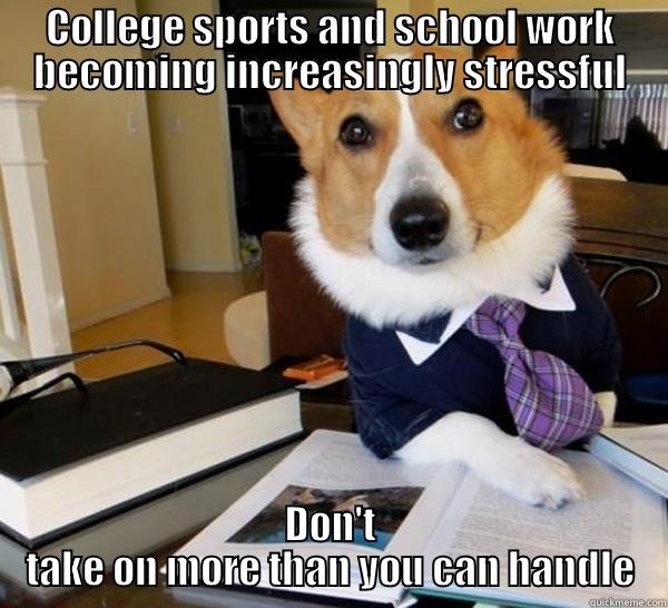 COLLEGE SPORTS AND SCHOOL WORK BECOMING INCREASINGLY STRESSFUL DON'T TAKE ON MORE THAN YOU CAN HANDLE Lawyer Dog