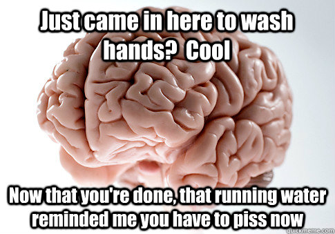 Just came in here to wash hands?  Cool Now that you're done, that running water reminded me you have to piss now  Scumbag Brain