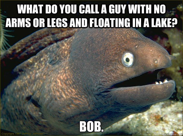 What do you call a guy with no arms or legs and floating in a lake? Bob.  Bad Joke Eel