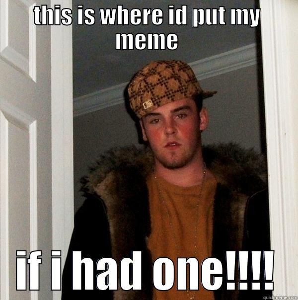 swaggy mc swAF - THIS IS WHERE ID PUT MY MEME IF I HAD ONE!!!! Scumbag Steve