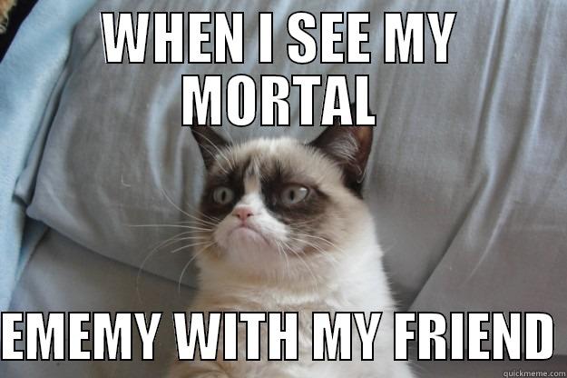 WHEN I SEE MY MORTAL  EMEMY WITH MY FRIEND Grumpy Cat