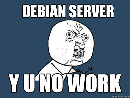 Debian Server y u no work  Y U No