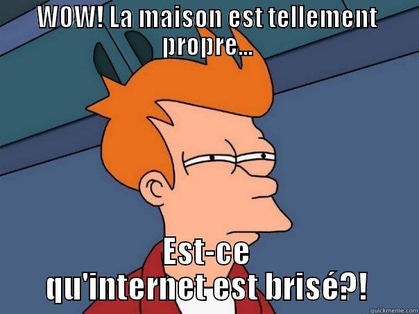 WOW! LA MAISON EST TELLEMENT PROPRE... EST-CE QU'INTERNET EST BRISÉ?! Futurama Fry