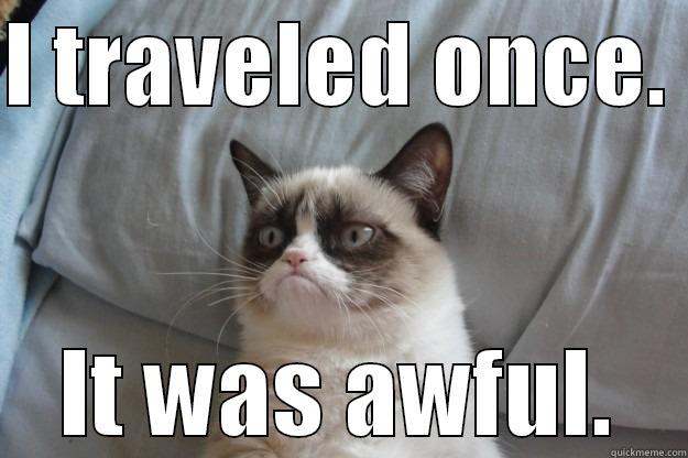 I TRAVELED ONCE.  IT WAS AWFUL. Grumpy Cat