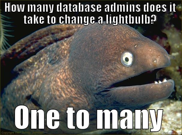 database admins - HOW MANY DATABASE ADMINS DOES IT TAKE TO CHANGE A LIGHTBULB? ONE TO MANY Bad Joke Eel