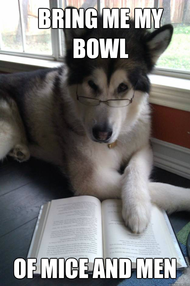 Bring me my bowl Of Mice and Men - Bring me my bowl Of Mice and Men  Condescending Literary Pun Dog