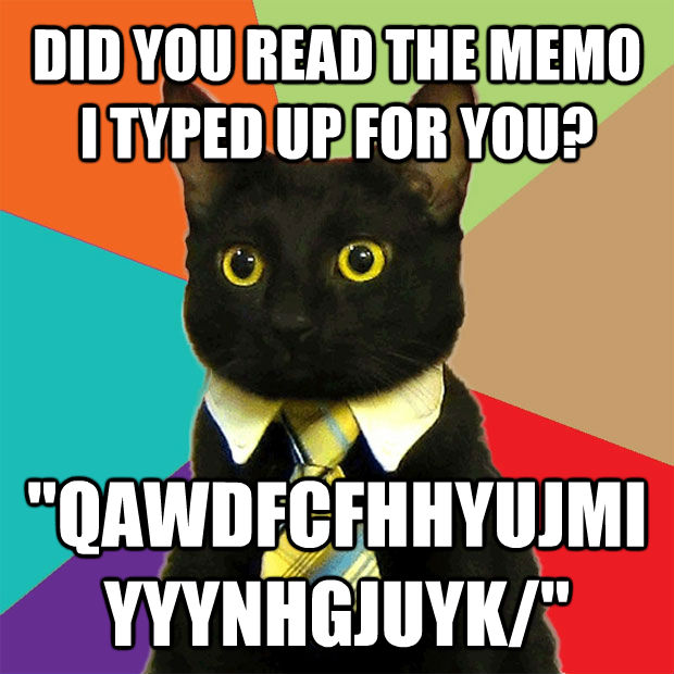 DID YOU READ THE MEMO I TYPED UP FOR YOU? 