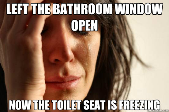 Left the bathroom window open now the toilet seat is freezing - Left the bathroom window open now the toilet seat is freezing  First World Problems