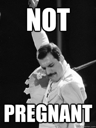 not pregnant  Freddie Mercury