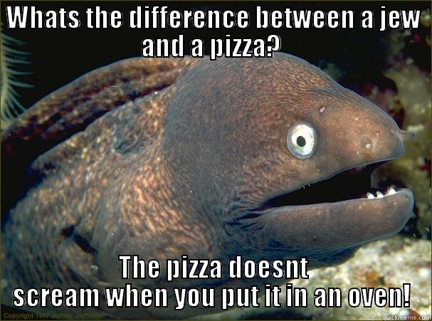 WHATS THE DIFFERENCE BETWEEN A JEW AND A PIZZA?  THE PIZZA DOESNT SCREAM WHEN YOU PUT IT IN AN OVEN!  Bad Joke Eel