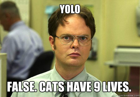 YOLO False. Cats have 9 lives.  Dwight