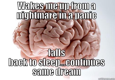 WAKES ME UP FROM A NIGHTMARE IN A PANIC FALLS BACK TO SLEEP...CONTINUES SAME DREAM Scumbag Brain