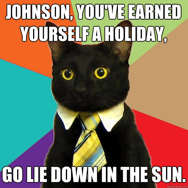 Johnson, you've earned yourself a holiday, go lie down in the sun.  Business Cat