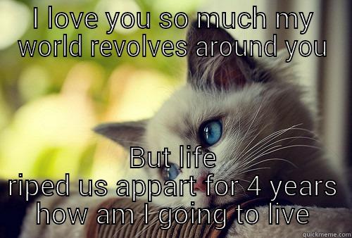 love world you - I LOVE YOU SO MUCH MY WORLD REVOLVES AROUND YOU BUT LIFE RIPED US APPART FOR 4 YEARS HOW AM I GOING TO LIVE First World Problems Cat