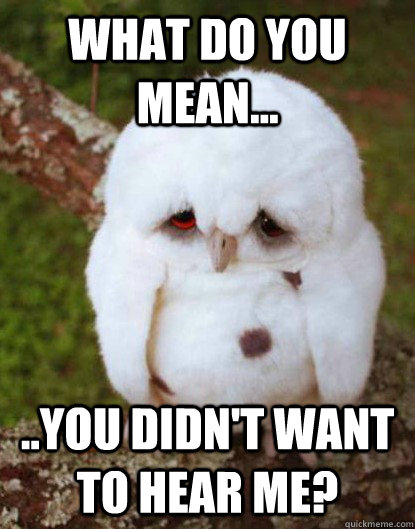 What do you mean... ..you didn't want to hear me?  Depressed Baby Owl