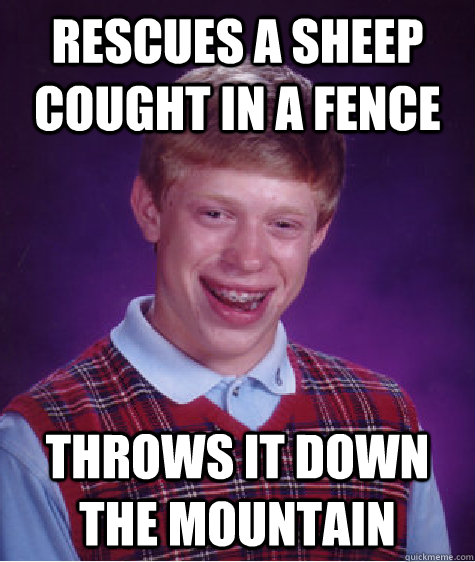 Rescues a sheep cought in a fence Throws it down the mountain  Bad Luck Brian