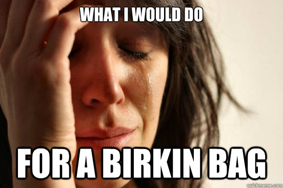 What I would do for a birkin bag - What I would do for a birkin bag  First World Problems