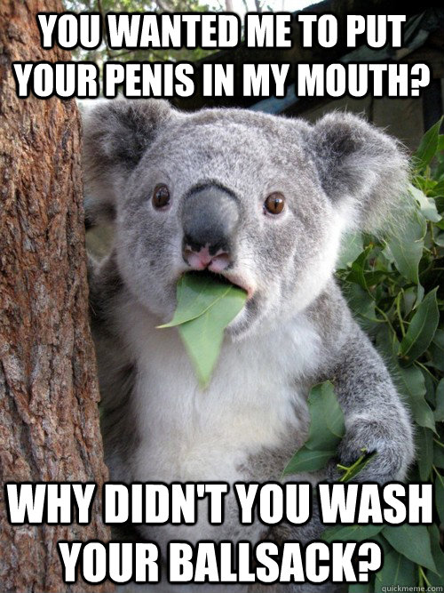 You wanted me to put your penis in my mouth? Why didn't you wash your ballsack?  koala bear